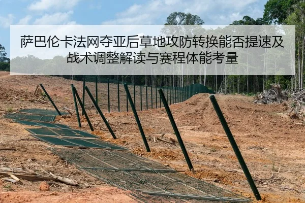萨巴伦卡法网夺亚后草地攻防转换能否提速及战术调整解读与赛程体能考量