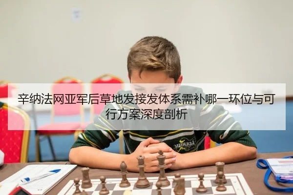辛纳法网亚军后草地发接发体系需补哪一环位与可行方案深度剖析