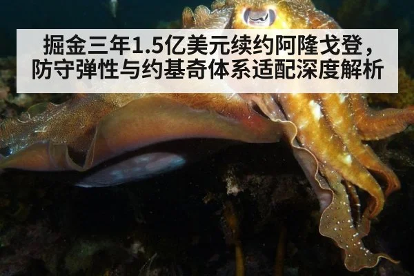 掘金三年1.5亿美元续约阿隆戈登，防守弹性与约基奇体系适配深度解析